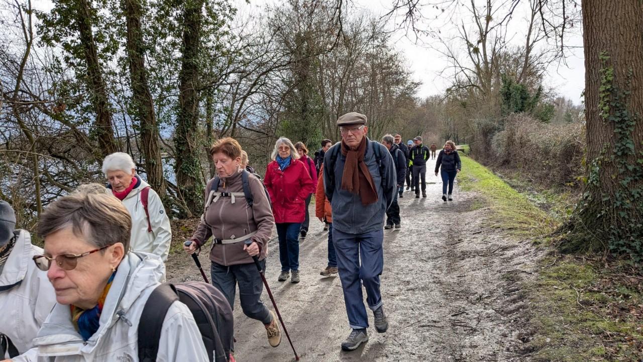 Rennes - le chemin des Fuligules