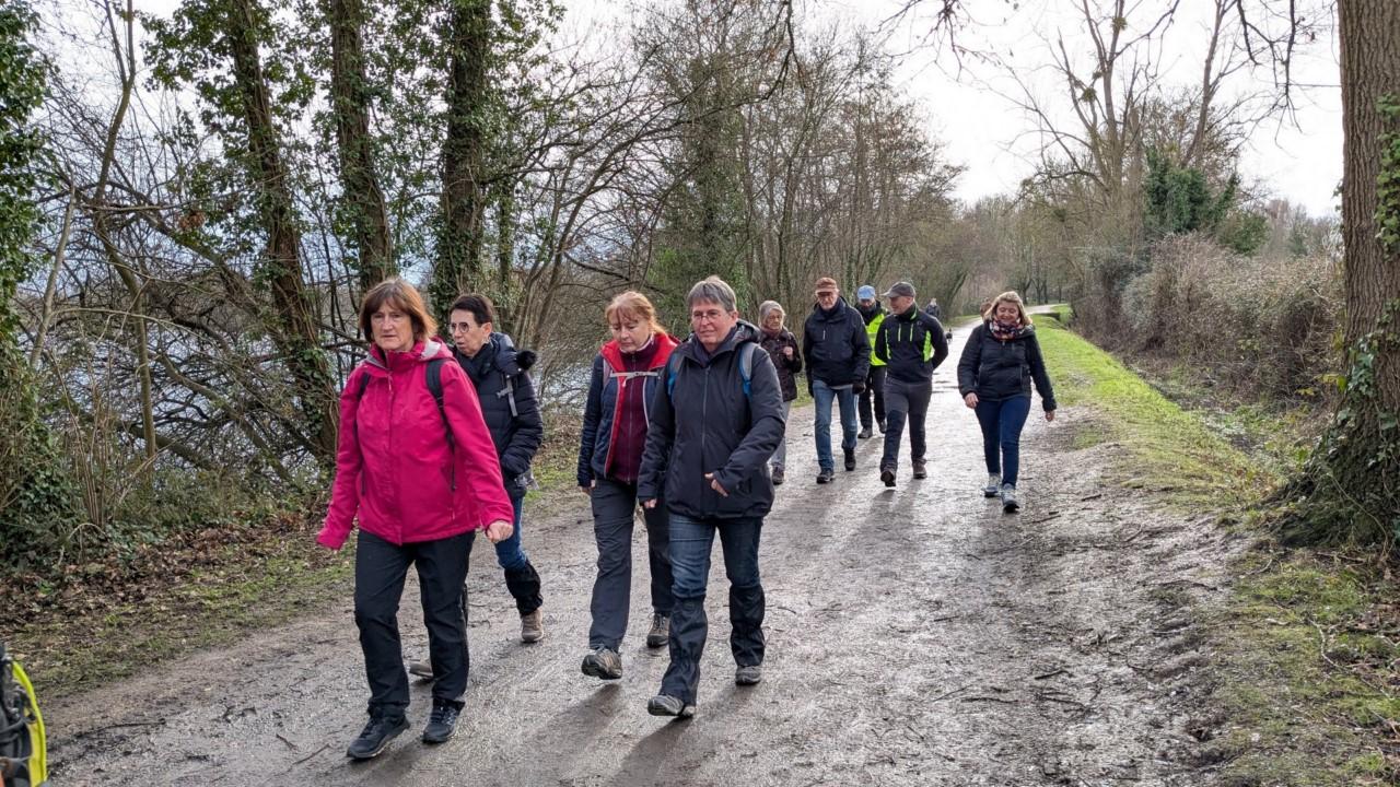 Rennes - le chemin des Fuligules