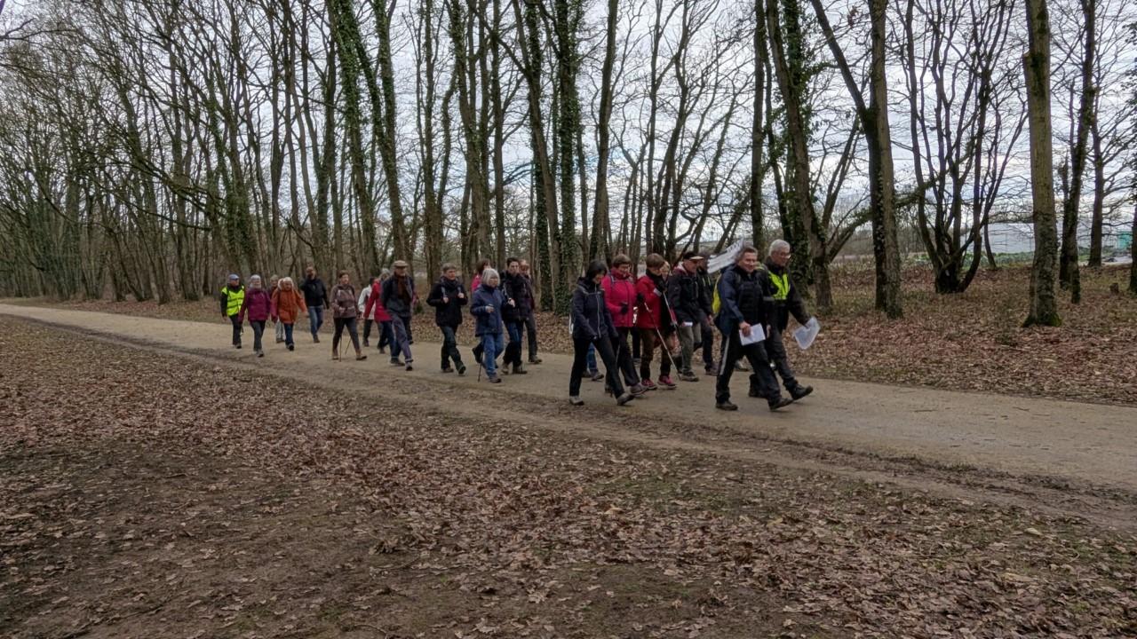 Rennes - le chemin des Fuligules