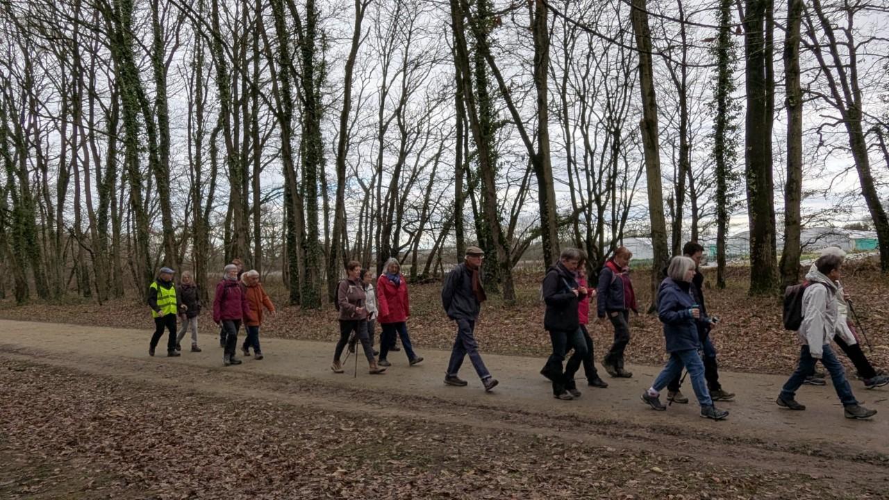 Rennes - le chemin des Fuligules